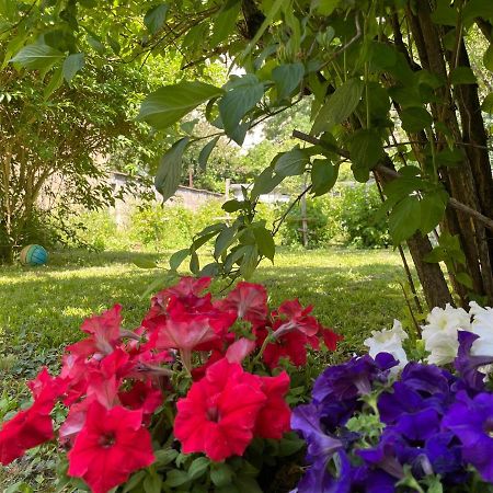 Chambre Privee Vue Sur Le Jardin Proche Centre Ville Besançon Zewnętrze zdjęcie